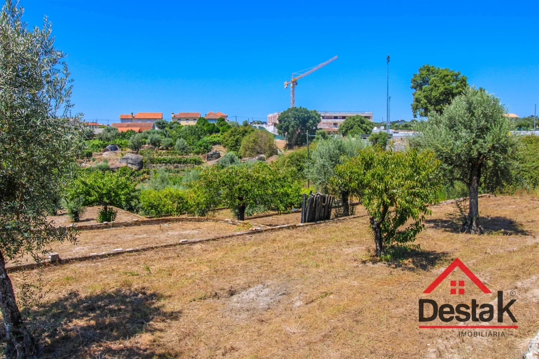 Terreno Agricola ou Rústico para Venda em Lajeosa do Dão Foto 3