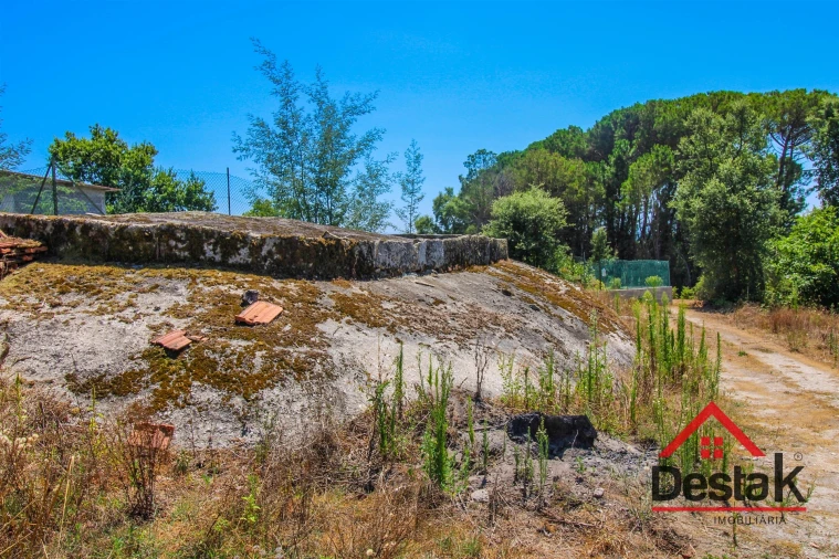 Terreno Agricola ou Rústico para Venda em Lajeosa do Dão Foto 14
