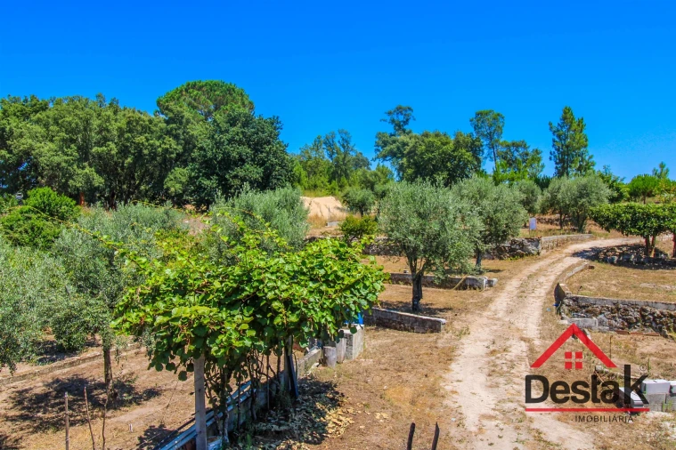 Terreno Agricola ou Rústico para Venda em Lajeosa do Dão Foto 11