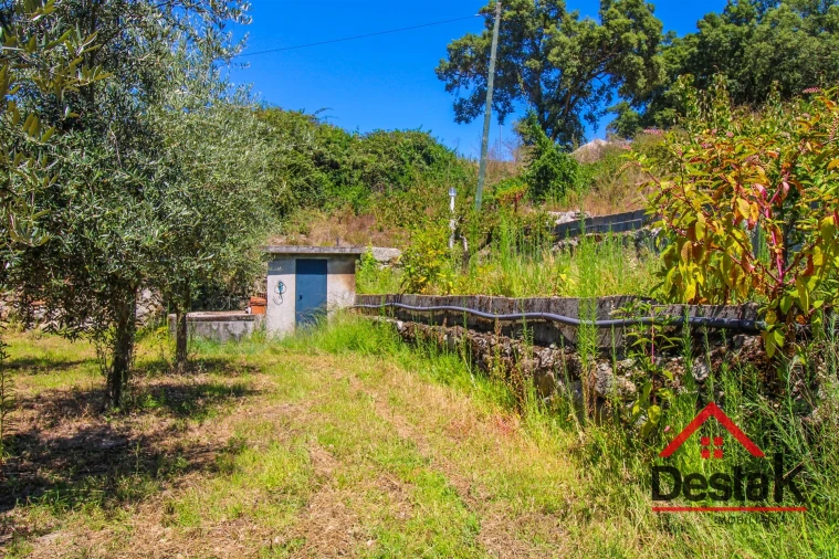 Terreno Agricola ou Rústico para Venda em Lajeosa do Dão Foto 10