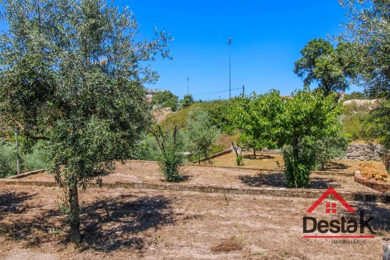 Terreno Agricola ou Rústico para Venda em Lajeosa do Dão Foto 6