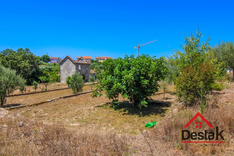 Terreno Agricola ou Rústico para Venda em Lajeosa do Dão Foto 15