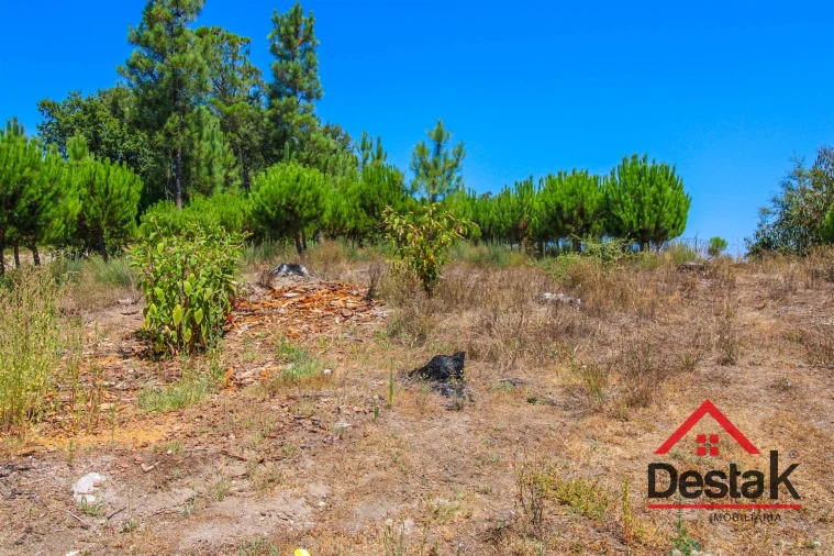 Terreno Agricola ou Rústico para Venda em Lajeosa do Dão Foto 13