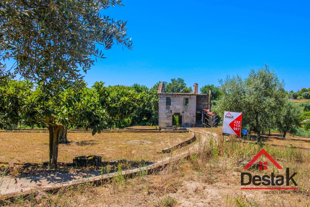 Terreno Agricola ou Rústico para Venda em Lajeosa do Dão Foto 1