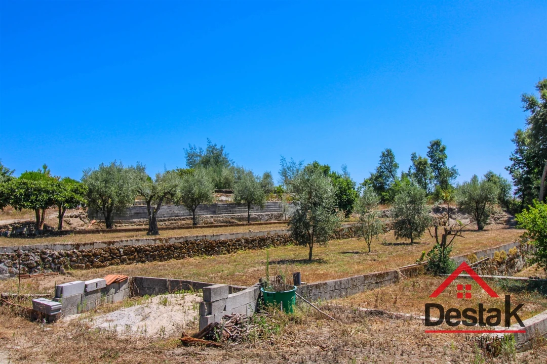 Terreno Agricola ou Rústico para Venda em Lajeosa do Dão Foto 12