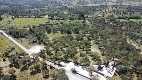 Quinta T0 para Venda em Póvoa de Rio de Moinhos e Cafede