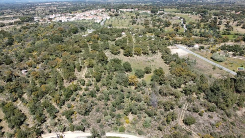 Quinta T0 para Venda em Póvoa de Rio de Moinhos e Cafede