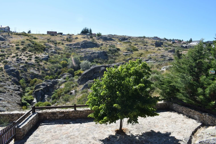 Moradia T3 para Venda em Cortes do Meio Foto 33