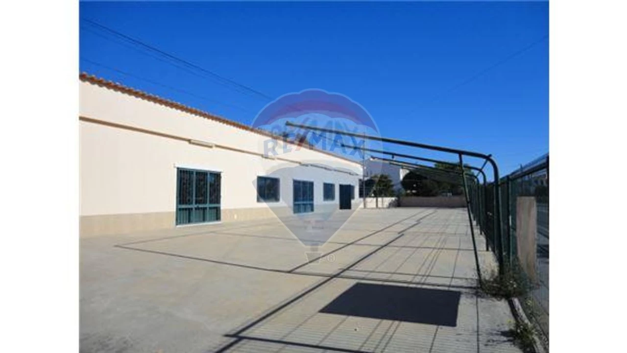 Terreno P/ Prédio para Venda em Loule (São Sebastião) Foto 2