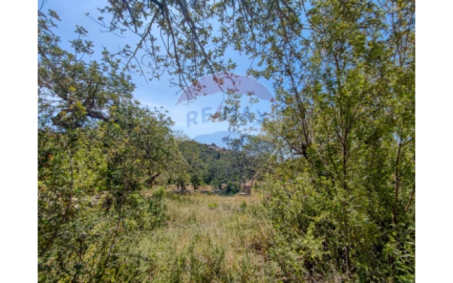 Moradia T2 para Venda em Loule (São Sebastião)