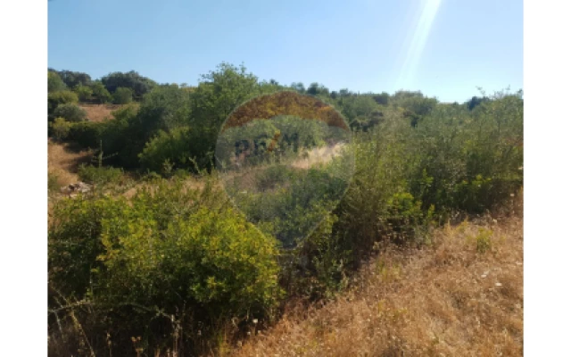 Moradia T2 para Venda em Loule (São Sebastião)