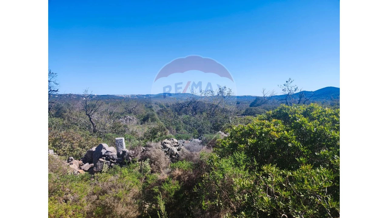 Terreno P/ Prédio para Venda em Loule (São Sebastião) Foto 8