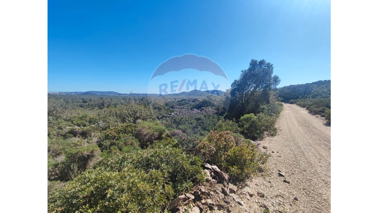 Terreno P/ Prédio para Venda em Loule (São Sebastião) Foto 11