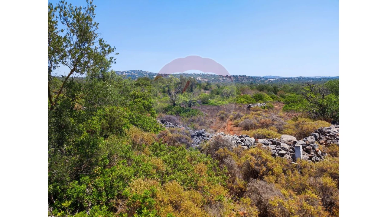 Terreno P/ Prédio para Venda em Loule (São Sebastião) Foto 3