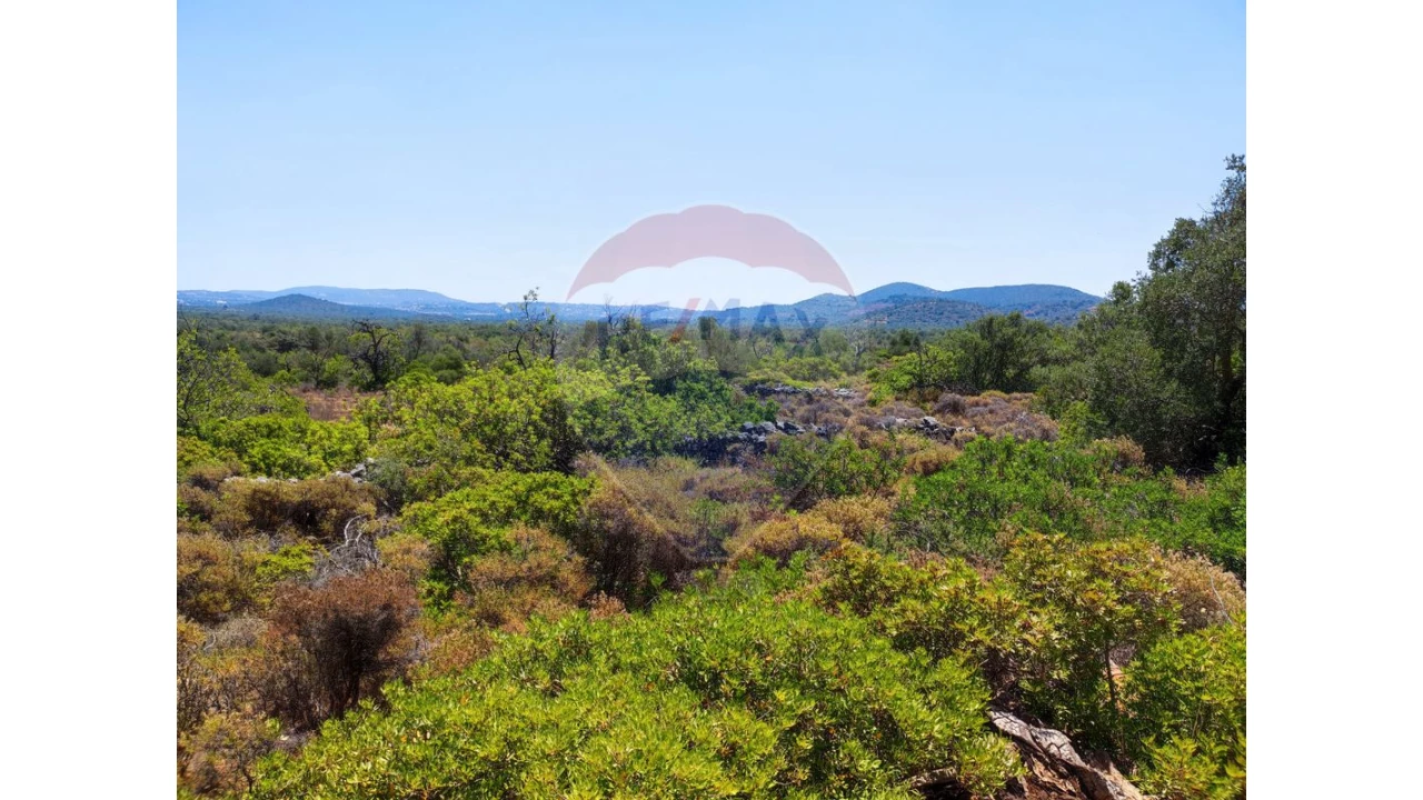 Terreno P/ Prédio para Venda em Loule (São Sebastião) Foto 4