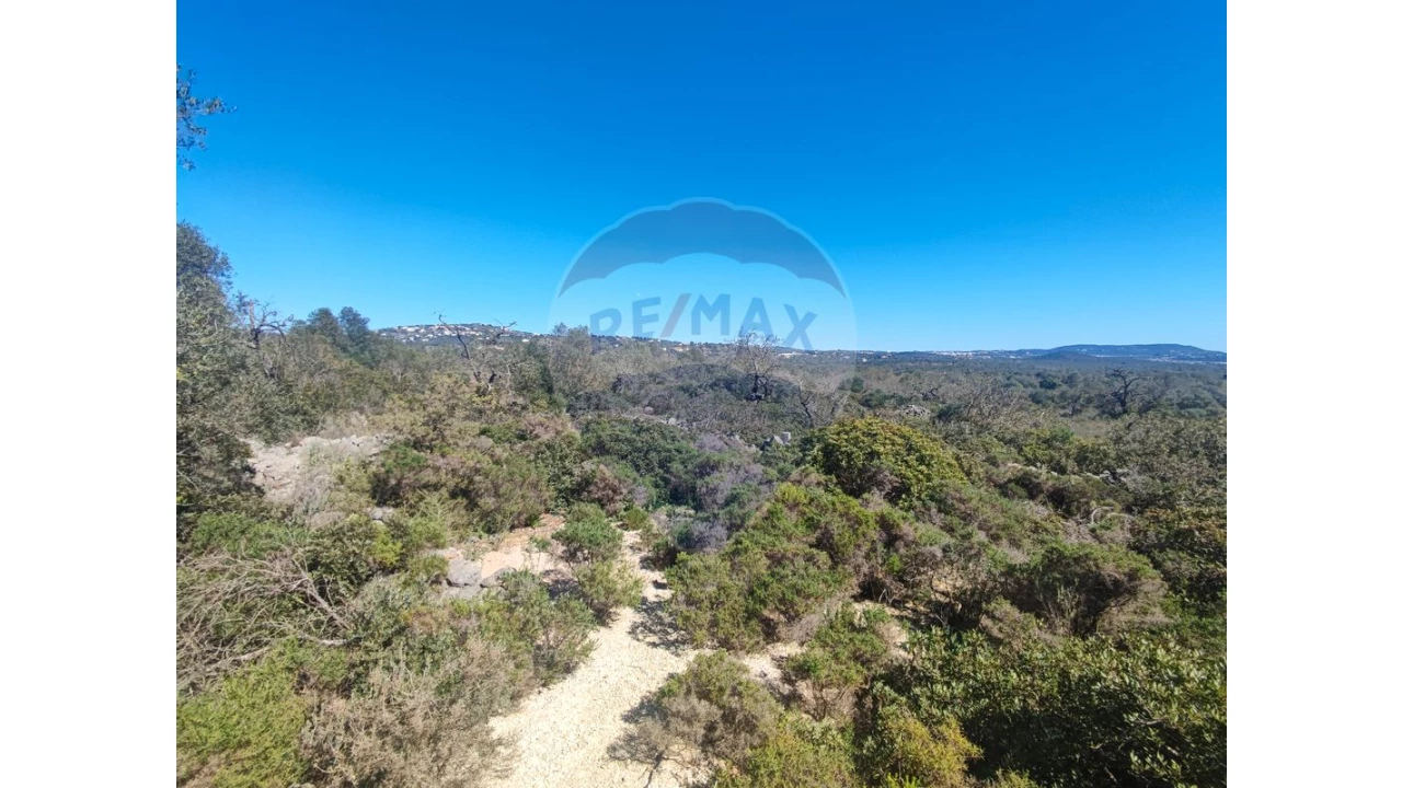 Terreno P/ Prédio para Venda em Loule (São Sebastião) Foto 1