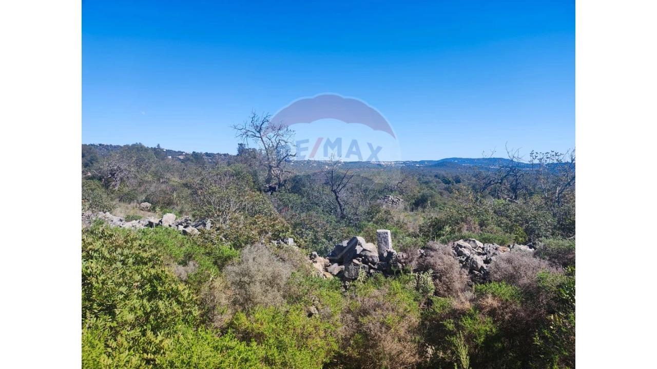 Terreno P/ Prédio para Venda em Loule (São Sebastião) Foto 7