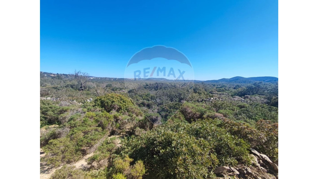 Terreno P/ Prédio para Venda em Loule (São Sebastião) Foto 10