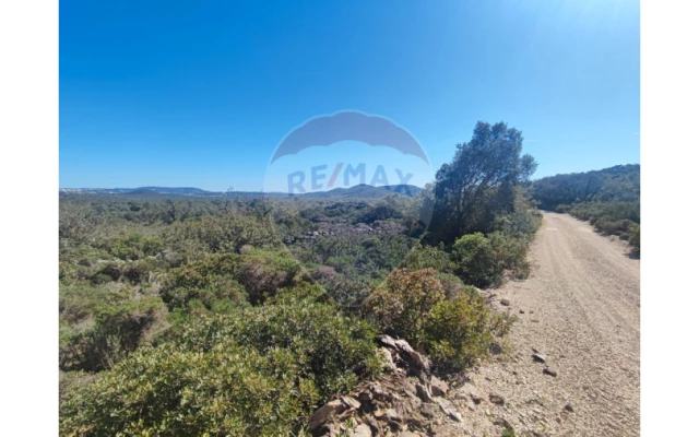 Terreno P/ Prédio para Venda em Loule (São Sebastião) Foto 11