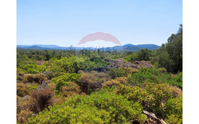 Terreno P/ Prédio para Venda em Loule (São Sebastião) Foto 4