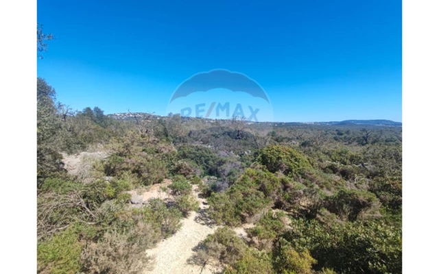 Terreno P/ Prédio para Venda em Loule (São Sebastião) Foto 1