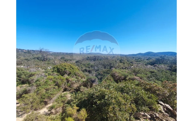 Terreno P/ Prédio para Venda em Loule (São Sebastião) Foto 10