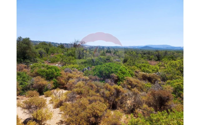 Terreno P/ Prédio para Venda em Loule (São Sebastião) Foto 5