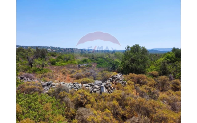 Terreno P/ Prédio para Venda em Loule (São Sebastião) Foto 2