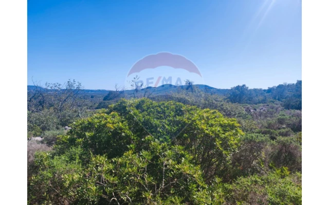 Terreno P/ Prédio para Venda em Loule (São Sebastião) Foto 9