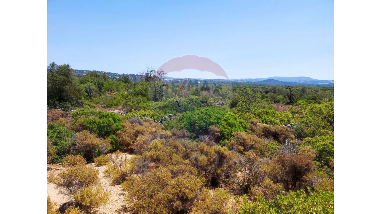 Terreno P/ Prédio para Venda em Loule (São Sebastião) Foto 5