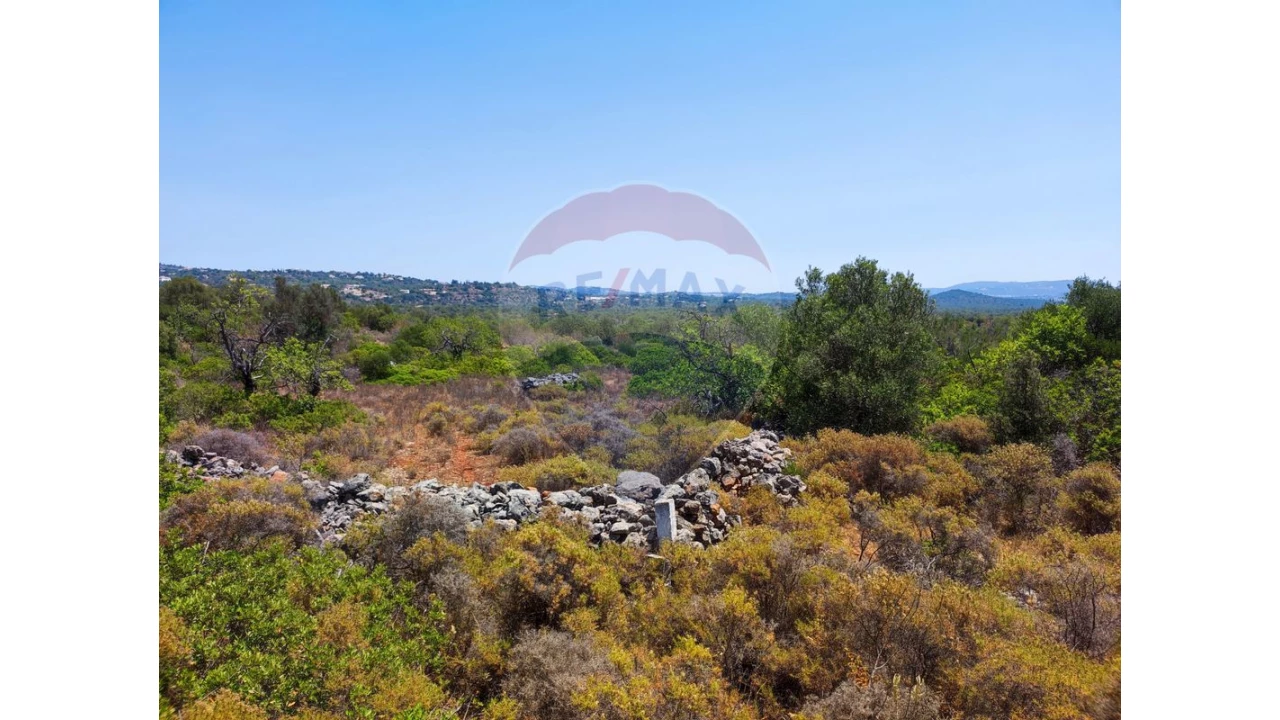 Terreno P/ Prédio para Venda em Loule (São Sebastião) Foto 2