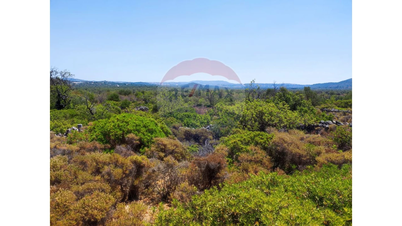 Terreno P/ Prédio para Venda em Loule (São Sebastião) Foto 6