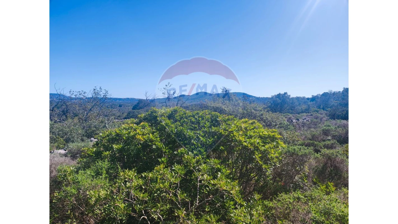 Terreno P/ Prédio para Venda em Loule (São Sebastião) Foto 9