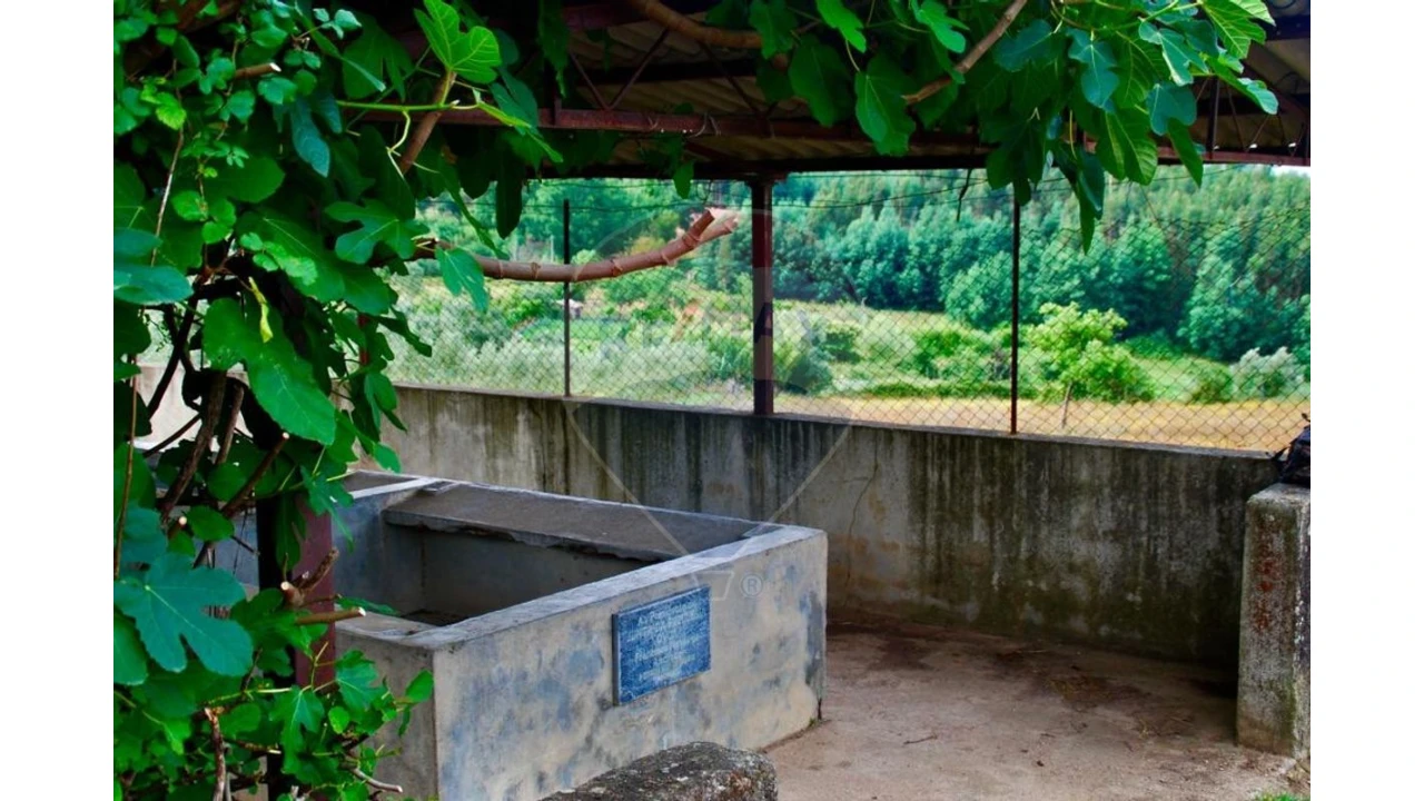 Terreno P/ Prédio para Venda em Ovoa e Vimieiro Foto 3