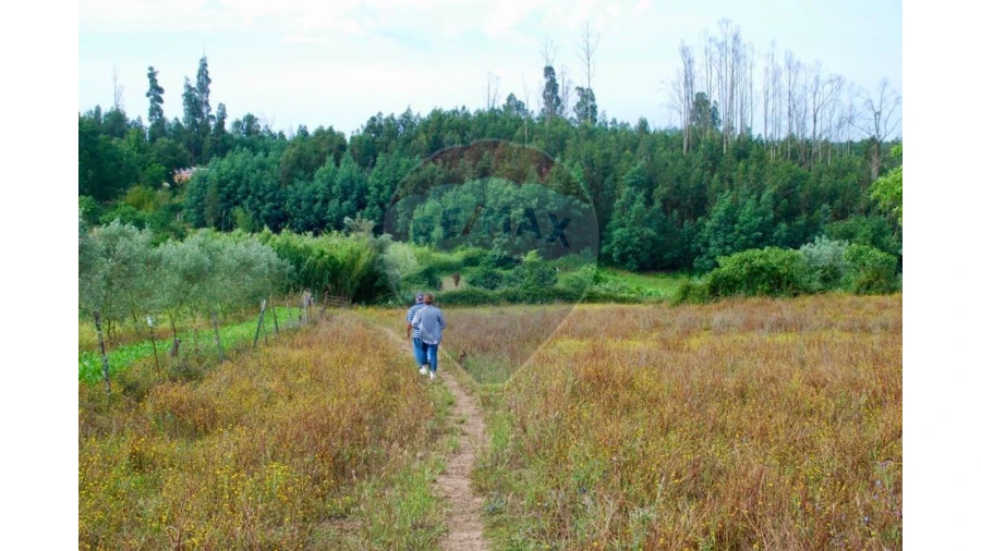 Terreno P/ Prédio para Venda em Ovoa e Vimieiro Foto 2