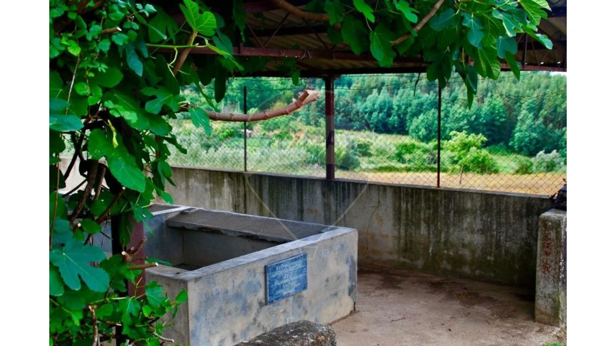 Terreno P/ Prédio para Venda em Ovoa e Vimieiro Foto 3