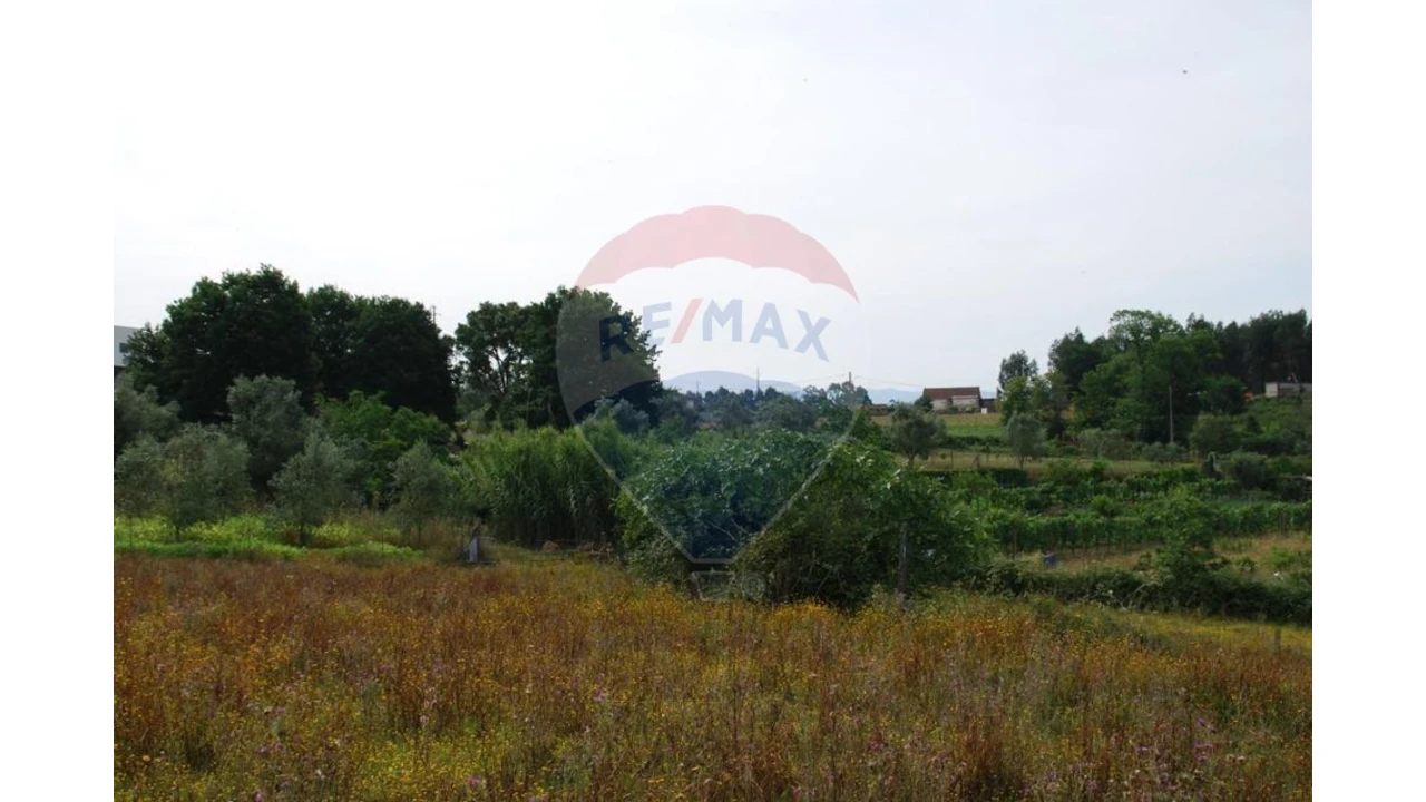 Terreno P/ Prédio para Venda em Santa Comba Dão e Couto do Mosteiro Foto 2