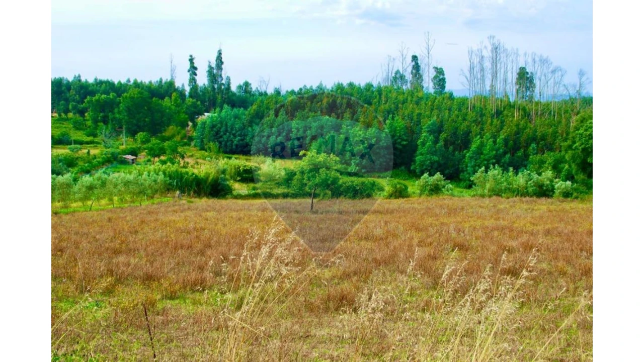 Terreno P/ Prédio para Venda em Santa Comba Dão e Couto do Mosteiro Foto 1