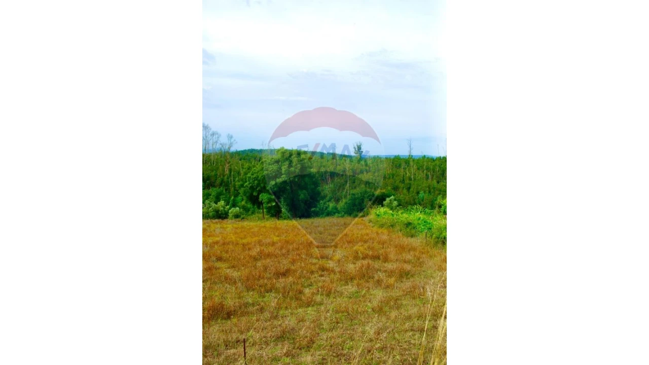 Terreno P/ Prédio para Venda em Santa Comba Dão e Couto do Mosteiro Foto 3