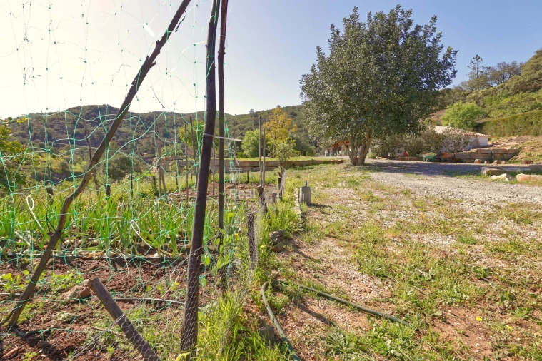 Quinta T3 para Venda em Santa Catarina da Fonte do Bispo Foto 30