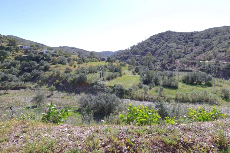 Quinta T3 para Venda em Santa Catarina da Fonte do Bispo Foto 34