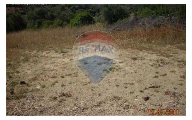 Terreno P/ Prédio para Venda em Loule (São Sebastião) Foto 5