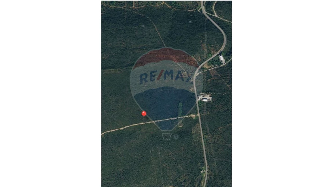 Terreno P/ Prédio para Venda em Loule (São Sebastião) Foto 3