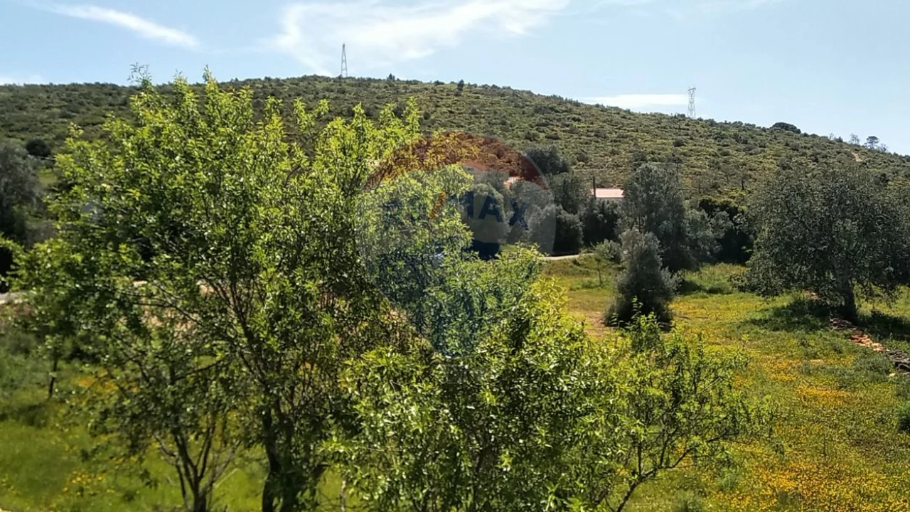 Terreno P/ Prédio para Venda em Loule (São Clemente) Foto 11