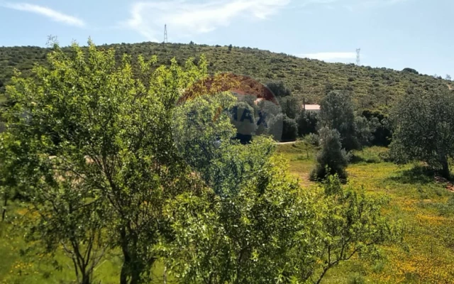 Terreno P/ Prédio para Venda em Loule (São Clemente) Foto 11