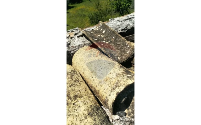 Terreno P/ Prédio para Venda em Loule (São Clemente) Foto 8