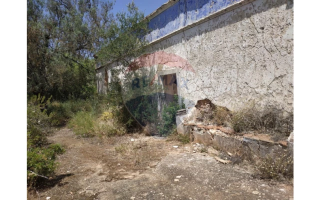 Terreno P/ Prédio para Venda em Loule (São Clemente) Foto 6