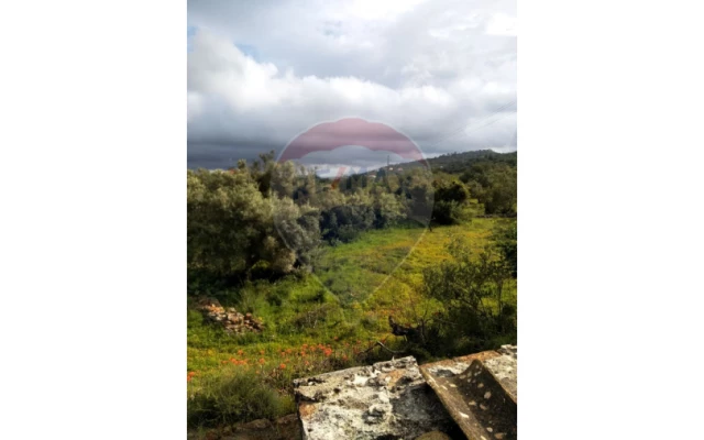 Terreno P/ Prédio para Venda em Loule (São Clemente) Foto 10