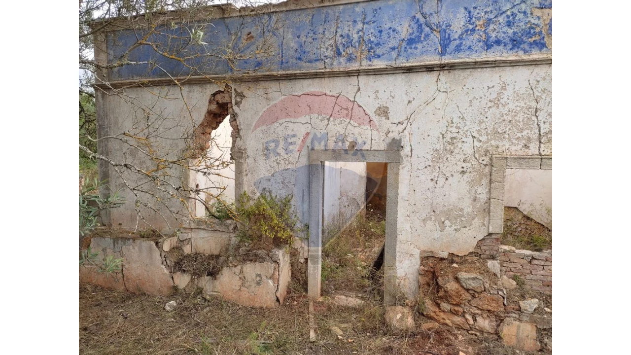 Terreno P/ Prédio para Venda em Loule (São Clemente) Foto 7