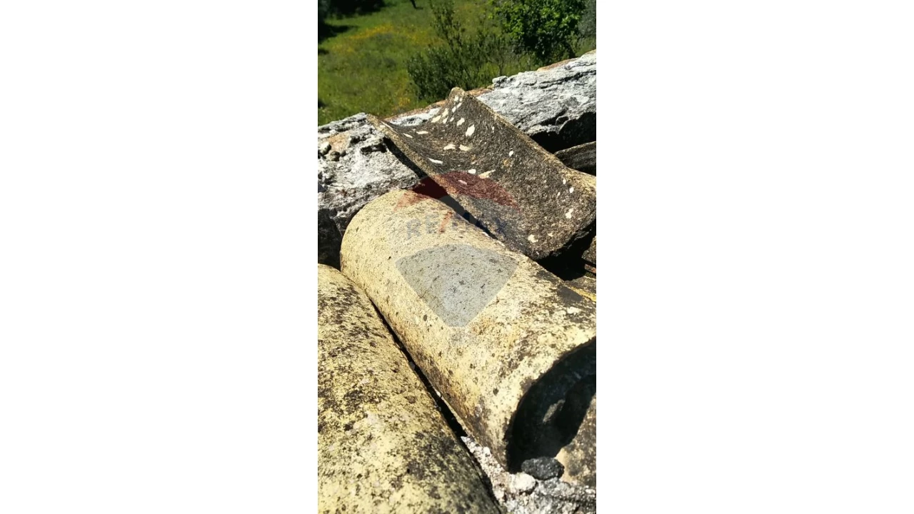 Terreno P/ Prédio para Venda em Loule (São Clemente) Foto 8